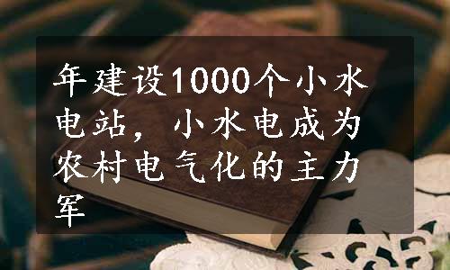 年建设1000个小水电站，小水电成为农村电气化的主力军