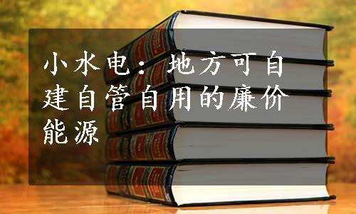 小水电：地方可自建自管自用的廉价能源