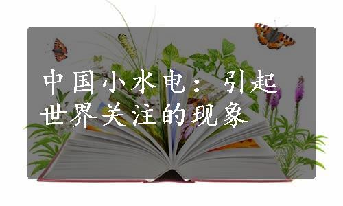 中国小水电：引起世界关注的现象