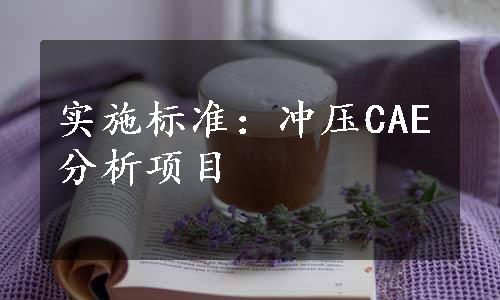 实施标准：冲压CAE分析项目