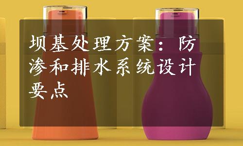 坝基处理方案：防渗和排水系统设计要点