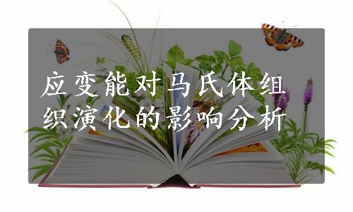 应变能对马氏体组织演化的影响分析