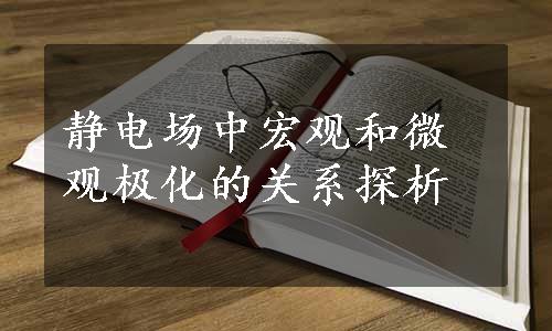 静电场中宏观和微观极化的关系探析