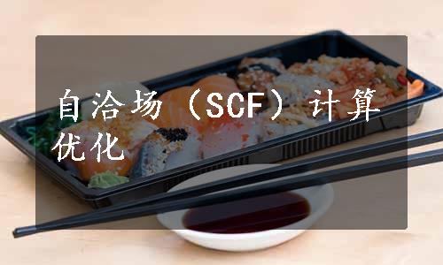 自洽场（SCF）计算优化