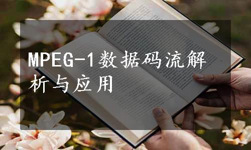 MPEG-1数据码流解析与应用