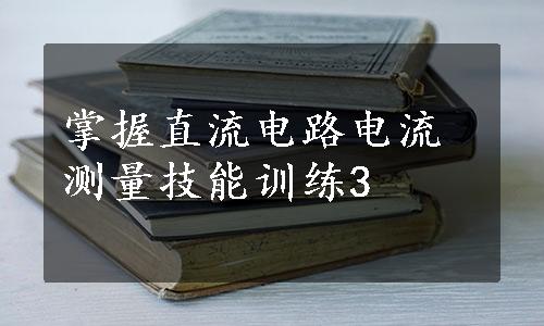 掌握直流电路电流测量技能训练3