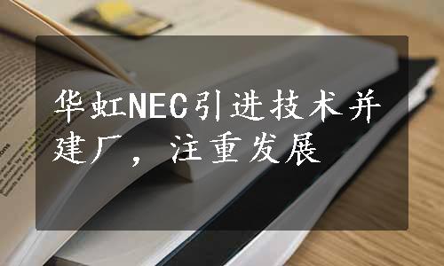 华虹NEC引进技术并建厂，注重发展