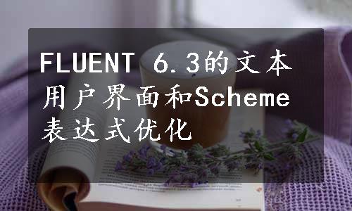 FLUENT 6.3的文本用户界面和Scheme表达式优化