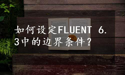 如何设定FLUENT 6.3中的边界条件？