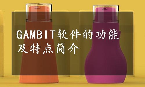 GAMBIT软件的功能及特点简介