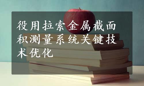 役用拉索金属截面积测量系统关键技术优化