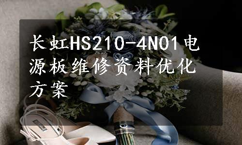 长虹HS210-4N01电源板维修资料优化方案