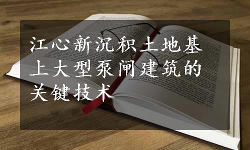 江心新沉积土地基上大型泵闸建筑的关键技术