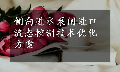 侧向进水泵闸进口流态控制技术优化方案