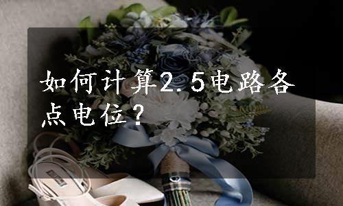 如何计算2.5电路各点电位？