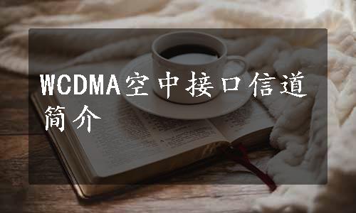 WCDMA空中接口信道简介