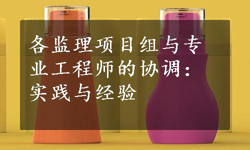 各监理项目组与专业工程师的协调：实践与经验