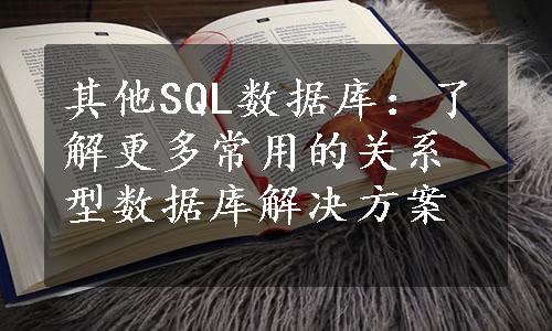 其他SQL数据库：了解更多常用的关系型数据库解决方案