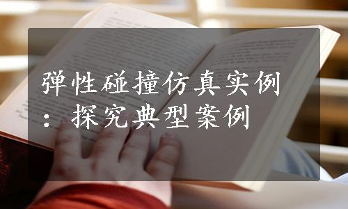 弹性碰撞仿真实例：探究典型案例