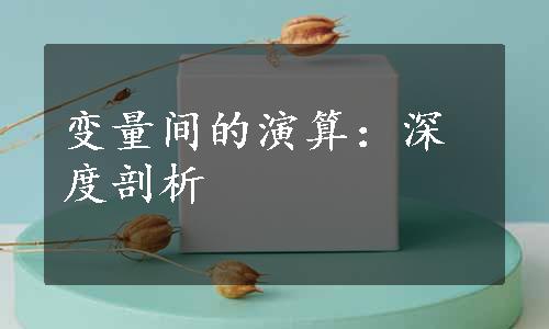 变量间的演算：深度剖析