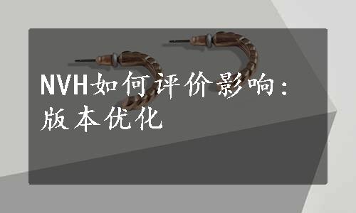 NVH如何评价影响: 版本优化