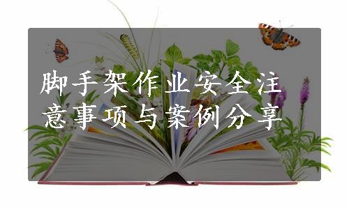 脚手架作业安全注意事项与案例分享