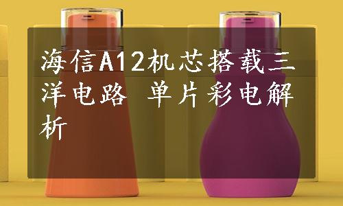 海信A12机芯搭载三洋电路 单片彩电解析