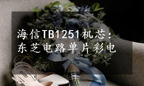 海信TB1251机芯：东芝电路单片彩电