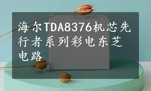 海尔TDA8376机芯先行者系列彩电东芝电路