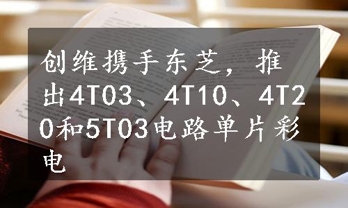 创维携手东芝，推出4T03、4T10、4T20和5T03电路单片彩电