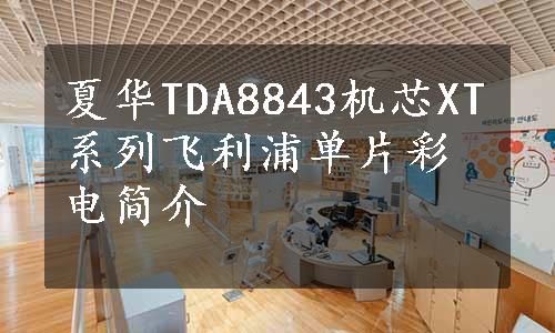夏华TDA8843机芯XT系列飞利浦单片彩电简介