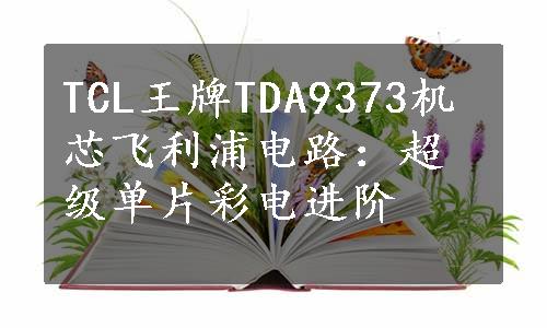 TCL王牌TDA9373机芯飞利浦电路：超级单片彩电进阶