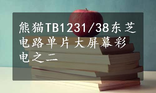 熊猫TB1231/38东芝电路单片大屏幕彩电之二