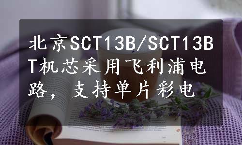 北京SCT13B/SCT13BT机芯采用飞利浦电路，支持单片彩电