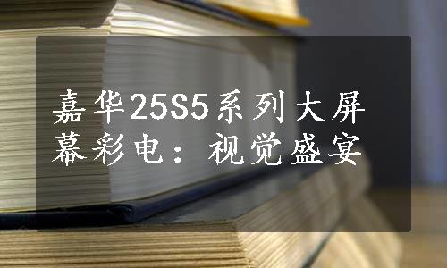 嘉华25S5系列大屏幕彩电：视觉盛宴