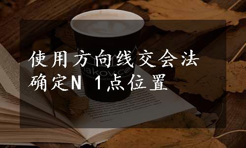 使用方向线交会法确定N 1点位置