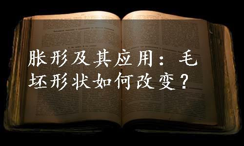 胀形及其应用：毛坯形状如何改变？