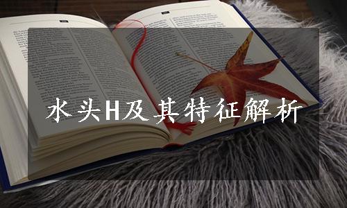 水头H及其特征解析