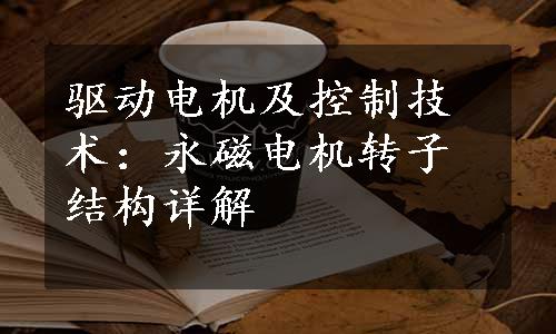 驱动电机及控制技术：永磁电机转子结构详解