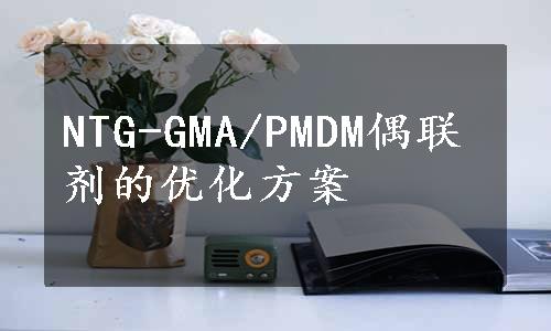 NTG-GMA/PMDM偶联剂的优化方案