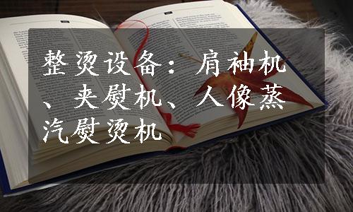 整烫设备：肩袖机、夹熨机、人像蒸汽熨烫机