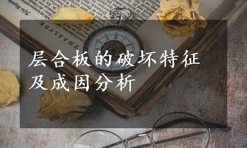 层合板的破坏特征及成因分析