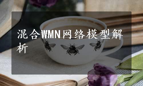 混合WMN网络模型解析