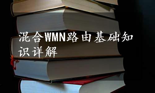 混合WMN路由基础知识详解