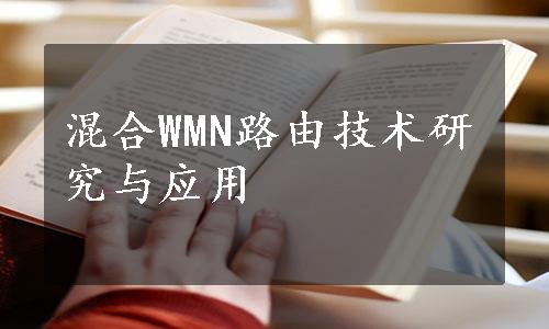 混合WMN路由技术研究与应用