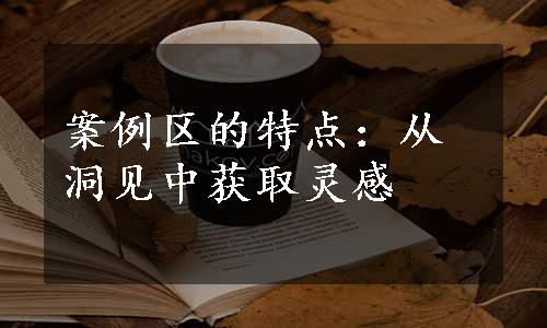 案例区的特点：从洞见中获取灵感