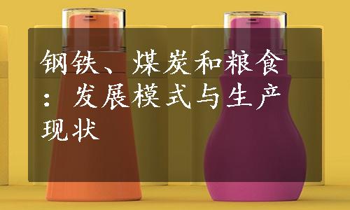 钢铁、煤炭和粮食：发展模式与生产现状