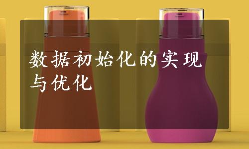 数据初始化的实现与优化