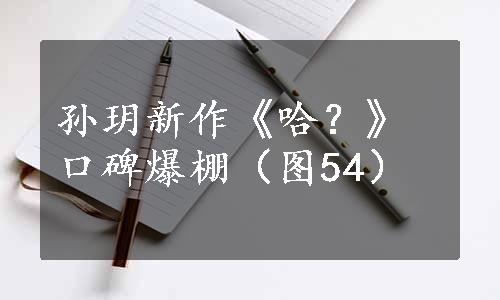 孙玥新作《哈？》口碑爆棚（图54）