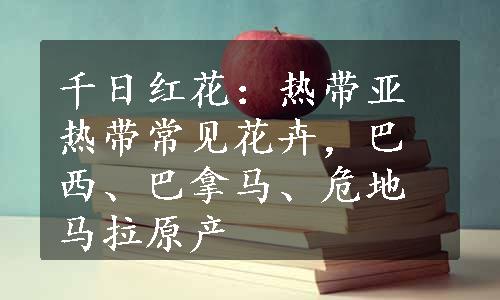 千日红花：热带亚热带常见花卉，巴西、巴拿马、危地马拉原产